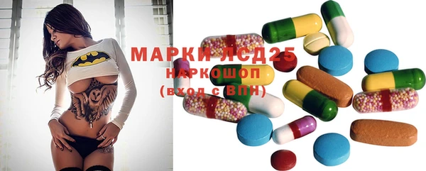 PSILOCYBIN Абаза