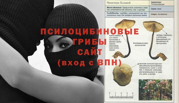 PSILOCYBIN Абаза