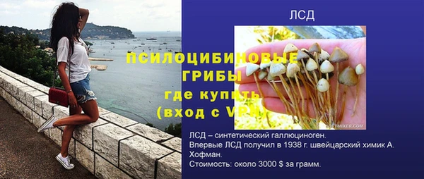 PSILOCYBIN Абаза